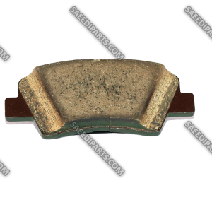 لنت عقب کارنز RP