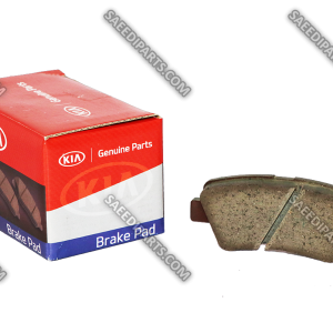 لنت عقب کیا کارنیوال VQ