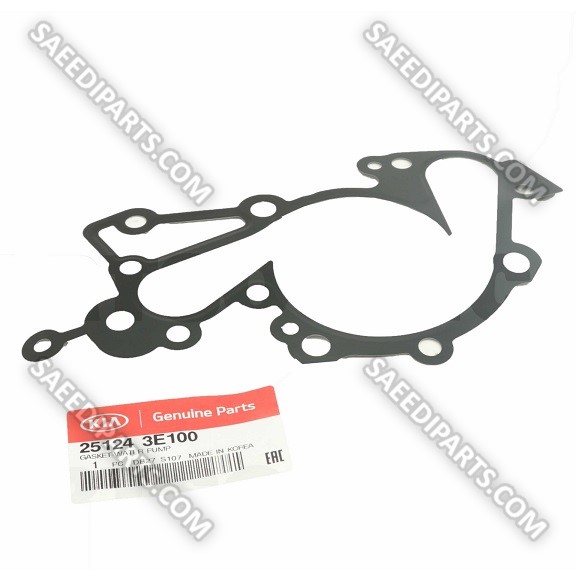 واشر واتر پمپ با شماره فنی 251243E100